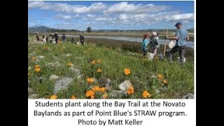 Marin Chapter Meeting “Novato Baylands:  Leia Giambastiani and Alycia Matz,   Monday, May 13  2024