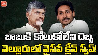 Big Shock to Chadrababu: YSRCP Clean Sweeps Nellore Municipal Election | CM Jagan | YOYO TV Channel