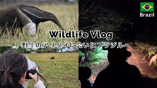 【Vlog】#3 🇧🇷ブラジルの田舎で野生のオオアリクイに接近！/ひたすら動物を見るだけの一人旅