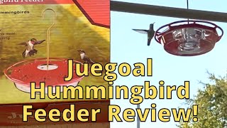 Juegoal 12 oz Hanging Hummingbird Feeder Review!