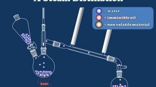 How Steam Distillation Works