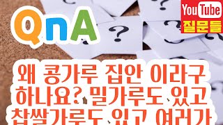 왜 콩가루 집안 이라구 하나요? 밀가루도 있고 찹쌀가루도 있고 여러가지가 있는데 ??