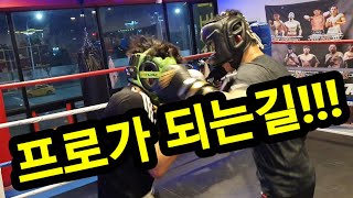 [원펀치TV] 프로로 가는길!!!