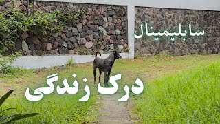 سابلیمینال درک زندگی واقعی موناسترو