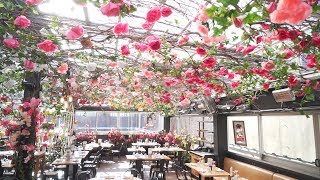 【Bite This! 来一口】Spring Rooftop Garden Restaurant Serra Fiorita 它可能是曼哈顿最美春季餐厅!