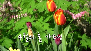 아이란 Vlog #44 4월의 홈가드닝