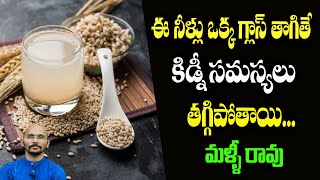 ఈ నీళ్లు ఒక్క గ్లాస్ తాగితే కిడ్నీ సమస్యలు తగ్గిపోతాయి ... మళ్ళీ రావు | Dr.Madhu Babu Health Trends