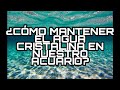 ¿Cómo mantener el agua cristalina en mi acuario?