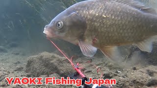 【水中映像】吸込み針で魚が釣れるシーンを完全収録