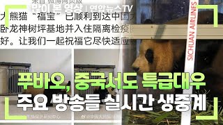 푸바오, 중국서도 특급대우…주요 방송들 실시간 생중계 / 연합뉴스TV (YonhapnewsTV)