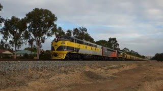 Junee Trains S317, S302 \u0026 SSR101 with 3142