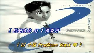 【 給您留念 dj 】黃凱芹 ( DJ 小嘉 ProgHouse Remix 粵 )