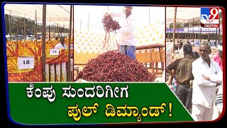 ಕೆಂಪು ಸುಂದರಿಗೀಗ ಪುಲ್ ಡಿಮ್ಯಾಂಡ್! Byadgi Chilli Price Hit All-time High!