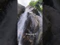 Kutralam Water Falls 🤩😍#nature #water #waterfall #tenkasi