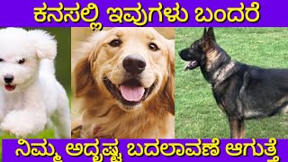 ಕನಸಲ್ಲಿ ನಾಯಿ ಬಂದರೆ | Kanasalli nayi bandare