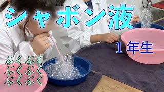 シャボン液：１年生：理科実験 【麻布科学実験教室】