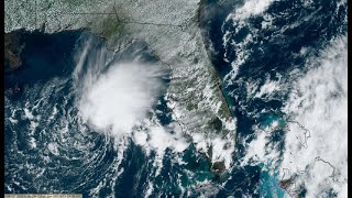 Tropical Storm Arlene forms in the Gulf of Mexico, near Florida: Here's where it's headed