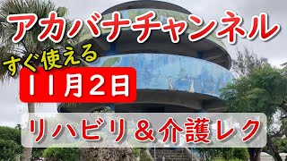 【11月2日にすぐ使える介護レク】アカバナチャンネル