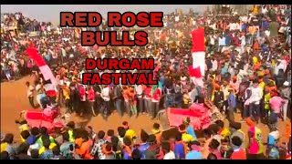 RED ROSE BULLS DURGAM FASTIVAL (jallikattu) 2022 Video