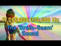 FULL BRAINGASM at 2mins! (17 TRILLION Hz) • ASMR Activation: Brain, Body & Spine Tingling Sensations