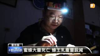 【2014.09.14】今夏蜜蜂大量死亡 蜂王乳價飆漲 -udn tv