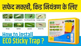 Eco Sticky Trap -6*8 cm(Pack of 10) | इको स्टिकी ट्रैप-6*8 cm (25 का पैक) -रु 5,000 @BehtarZindagi