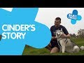 A Rescue Dog's Fairytale Ending | Blue Cross