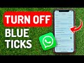 How to Turn Off Blue Ticks in Whatsapp on iPhone & iPad
