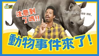 灰犀牛、黑天鵝...用動物表達的事件 | Animal Idioms | 好想講英文