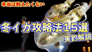 冬イカ実釣攻略！冬エギング成立させるための15か条【上級者でも見るべき】