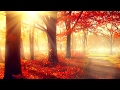 Relaxing Piano Music For Studying Concentration Study Music Instrumental Studying Music
