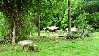 Looking at Stables from Front Porch Costa Rica | Horses in Costa Rica