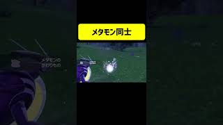 【ポケモンSV】メタモン同士のかわりもの【ポケットモンスター スカーレット・バイオレット】 #shorts