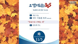 요셉기도회 365 (2024.11.5) | 믿음으로 구하는 것 | 이용훈 목사