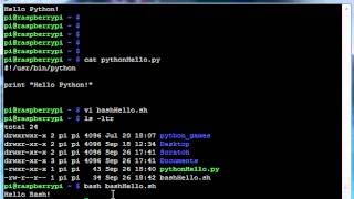 Raspberry Pi - Hello World in: Python/Bash/C++