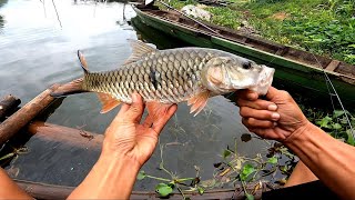 Fishing Video!! Wild Sebarau Fish (Catch And Release)