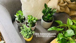 🌱🍀  我的盆栽們 容易照顧的室內植物推薦 My houseplants | Easy-care indoor plants ideas