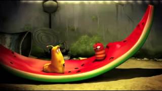 Larva - Watermelon