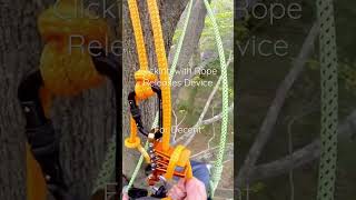 TreeClimbing for Fun: Testing the Descent Device for Proper Operation #climb #petzl unicender