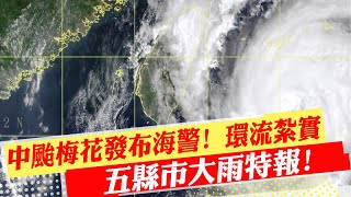 【麥玉潔報氣象】中颱梅花發布海警! 環流紮實\