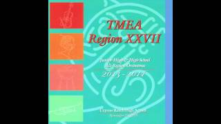 Ships of Ireland - TMEA Region XXVII Middle School Philharmonic Orchestra