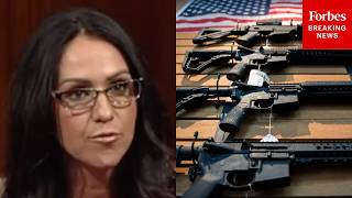 Lauren Boebert Promotes Legislation To Remove 'Unfair Taxes' On Firearms, Firearm Importers