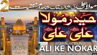 Haidar Maula Ali maula ki Shan me Kalam || Aise hote hai Ali ke Nokar || Yaume Ali Spaical Manqabat