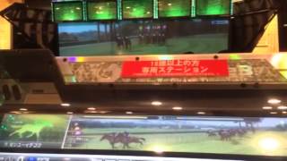 スタホ３、発動馬、ゼンユーイチゴウ７戦目 、凱旋門