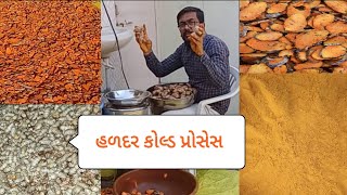 હળદર પાવડર બનાવવાની કોલ્ડ પ્રોસેસ..બાફ્યા વિના પાવડર #turmeric #cold #process #spnf #best#subscribe