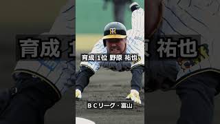 【2008年阪神タイガース】ドラフト答え合わせ　#shorts #プロ野球 #野球  #ドラフト2024 #ドラフト候補 #プロスピ #ドラフト2025