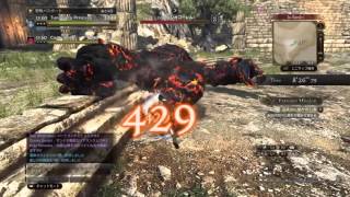 【DDON】エクストリームミッション2　古き力に魅かれし者　ペアクリア　セージ視点