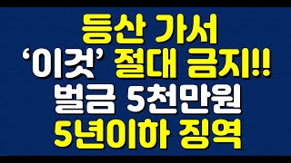 등산 가서 ‘이것’ 절대 금지!! 벌금 최대 5천만원, 5년이하 징역!