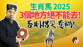 生肖馬預警！2025年乙巳蛇年，3個地方絕不能去！否則招災惹禍！千萬注意，要當心！ #2025年生肖馬運勢 #2025年生肖馬運程 #2025年屬馬運勢 #2025年屬馬運程