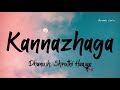 Kannazhaga Lyrics - 3 | @AnirudhOfficial x Dhanush x Shruthi | Tamil